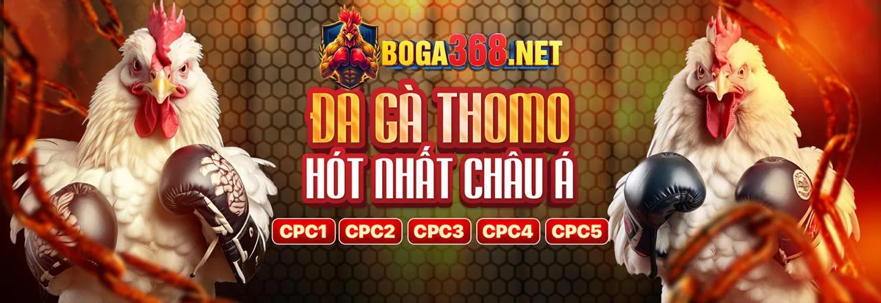 Trực tiếp đá gà HD